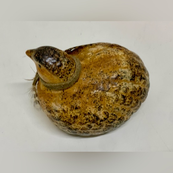 Mid Century Vintage Hand Painted Ceramic Quail Bird Figurine - Picture 8 of 16